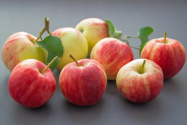 Quels sont les fruits et légumes de saison en janvier ?
