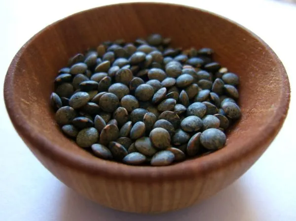 Bol de lentilles vertes du Puy crues
