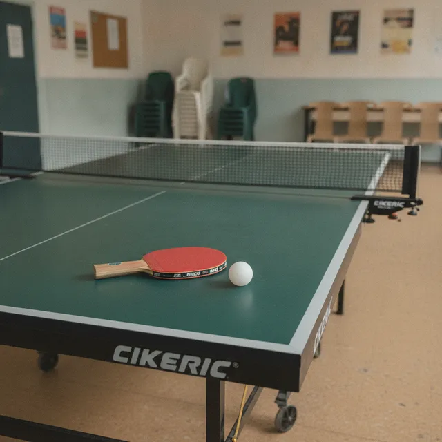 Raquette de tennis de table rouge et balle blanche posees sur une table de ping-pong verte dans une salle des fetes